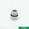Plastic Ppr Pipe Fittings Equal Shape , Round Head Polyethylene Pipe Plugs