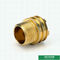 CW617N Material Customized Designs Male Brass Inserts Lighter Weight For Ppr Fittings