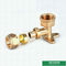 Brass Color Customized Logo Pex Brass Fittings Wall Plated Female Elbow