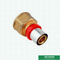 Customized Female Threaded Coupling Compression Brass Press Union Fittings For Pex Aluminum Pex Pipe